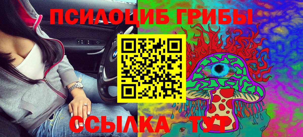 купить наркоту  Псилоцибиновые грибы Psilocybe  Корсаков  Вход с VPN  Галлюциногенные грибы Psilocybine cubensis 